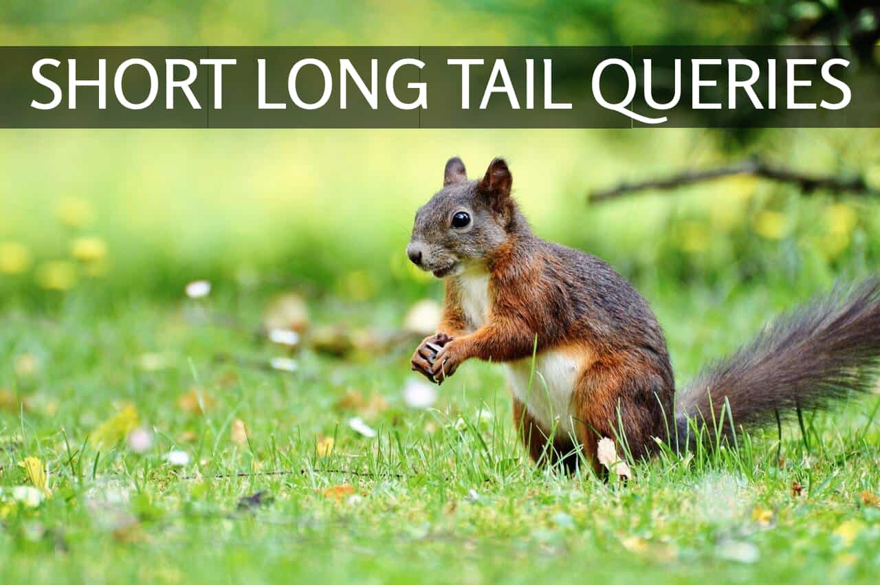 short long tail queries
